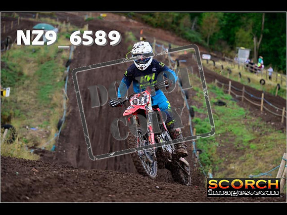 Experts-121