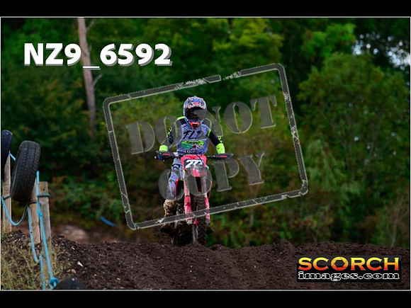 Experts-124