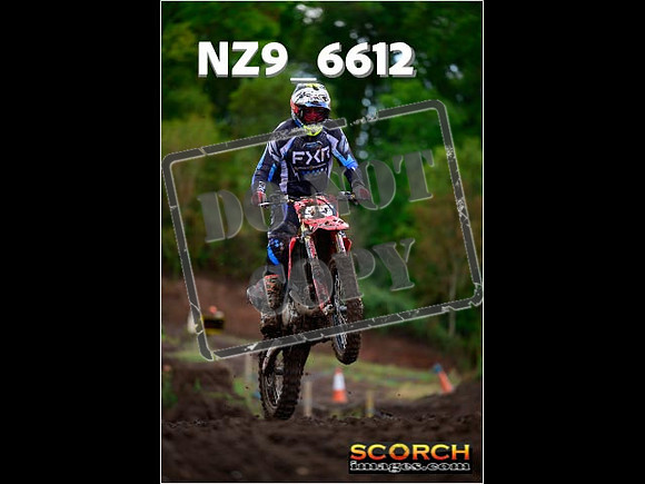 Experts-142