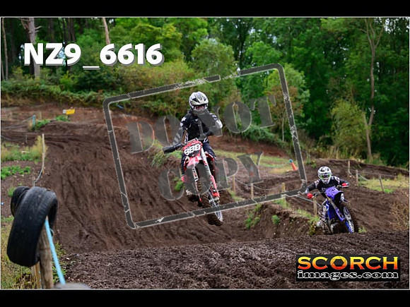 Experts-146