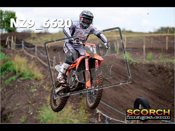Experts-150