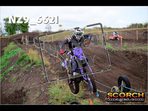 Experts-151