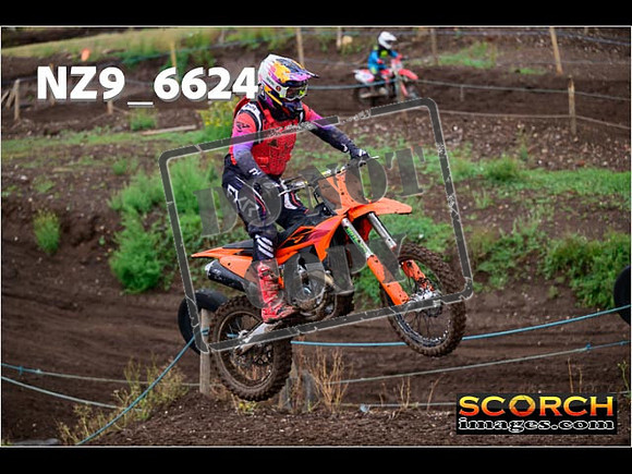 Experts-154