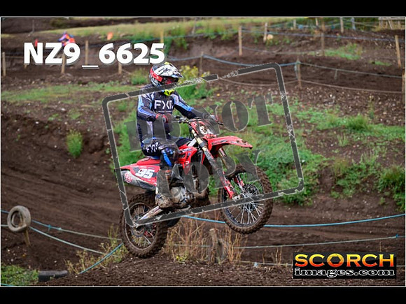 Experts-155