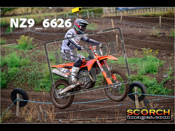 Experts-156