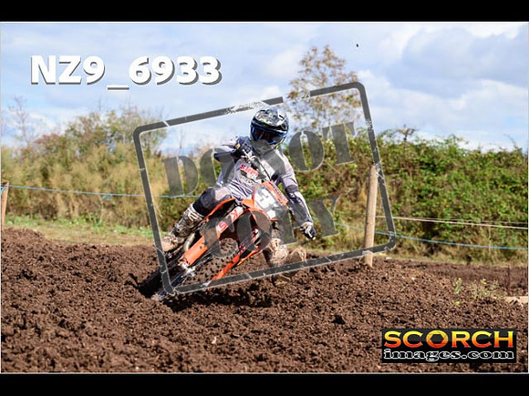 Experts-157