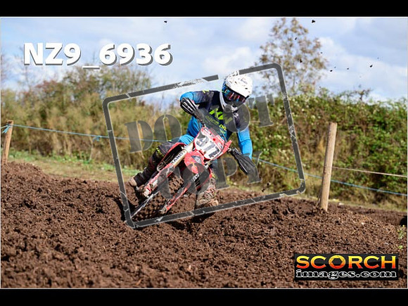 Experts-160