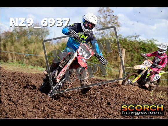 Experts-161