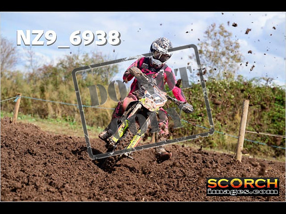 Experts-162
