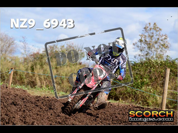 Experts-167