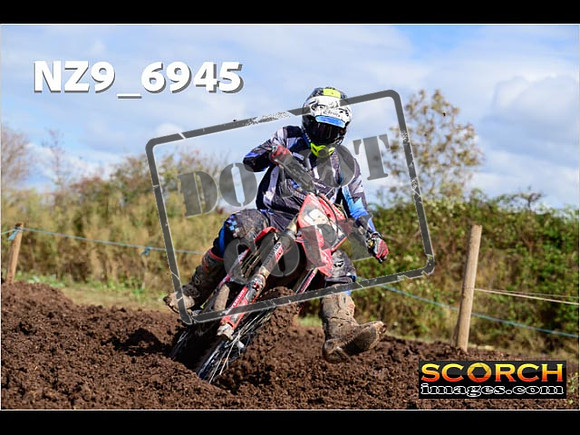 Experts-169