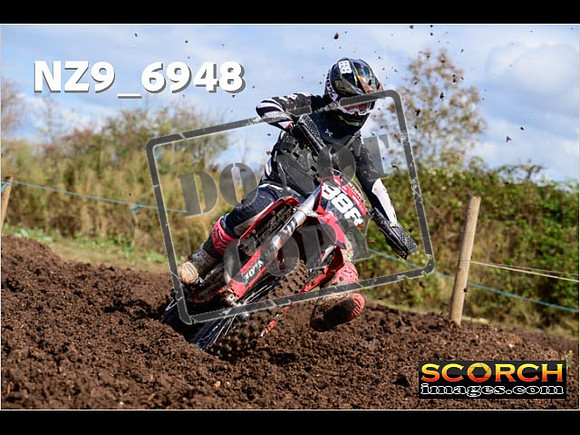 Experts-172