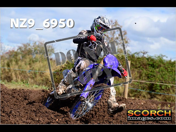 Experts-174