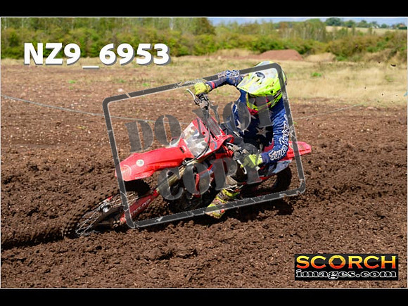 Experts-176