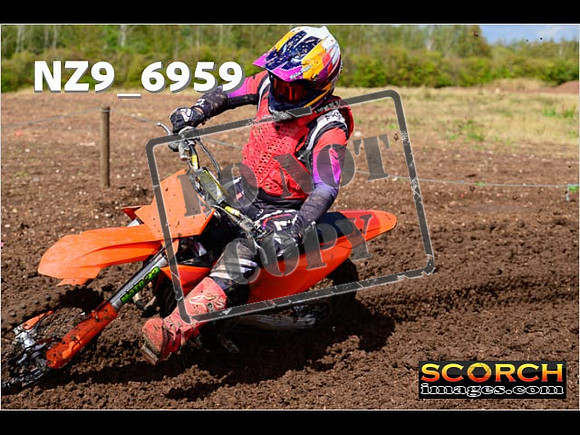 Experts-182