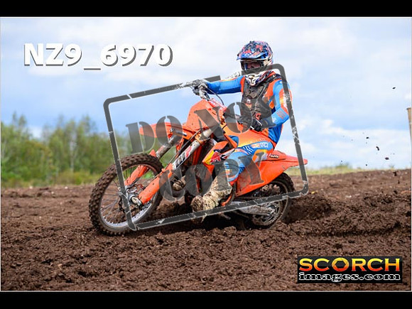 Experts-191