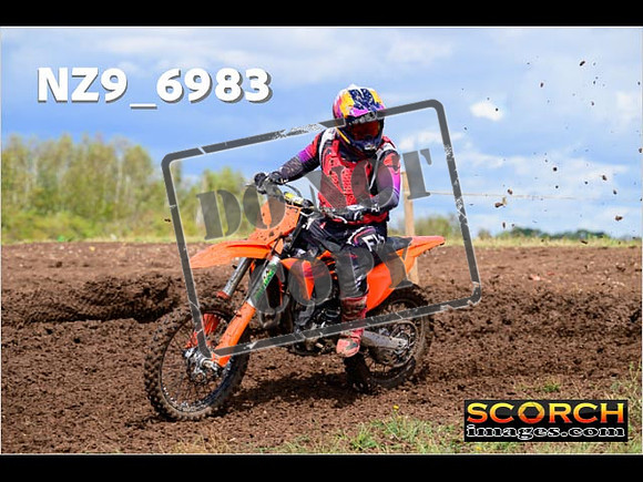 Experts-203