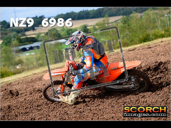 Experts-206