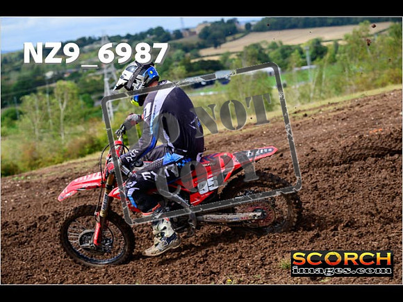 Experts-207