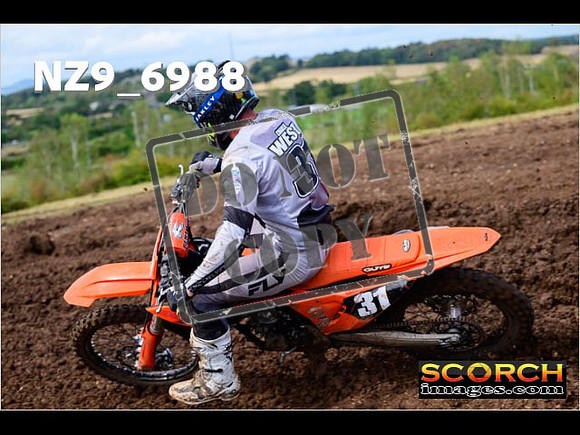 Experts-208