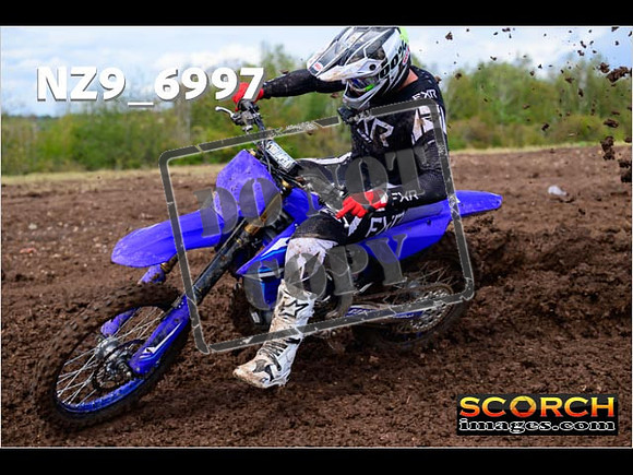 Experts-216