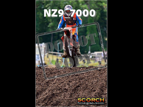Experts-219
