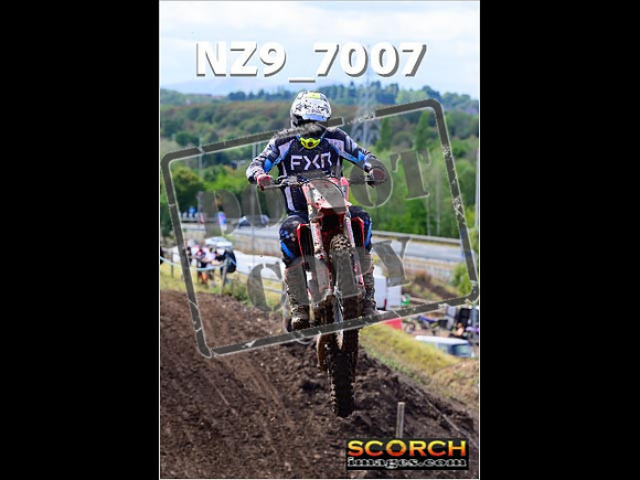 Experts-224