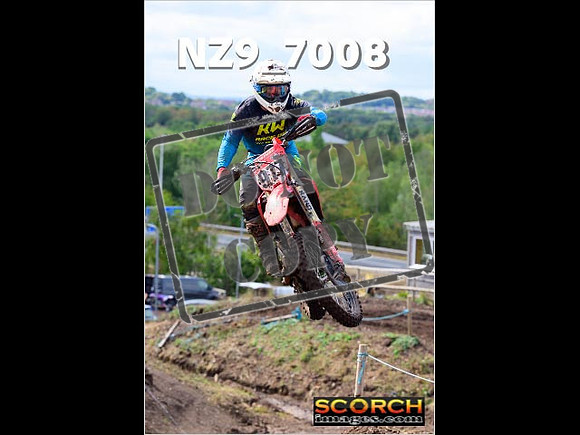 Experts-225