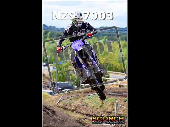 Experts-221
