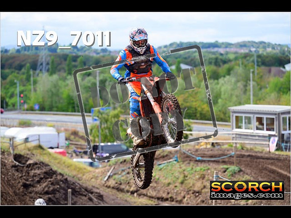Experts-227