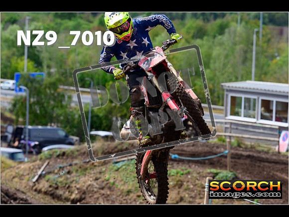 Experts-226