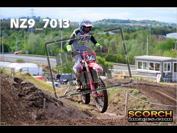 Experts-229