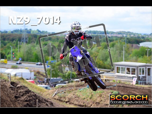 Experts-230