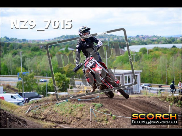 Experts-231