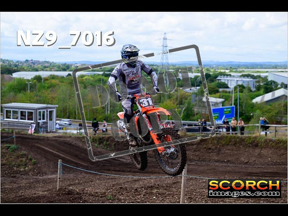 Experts-232