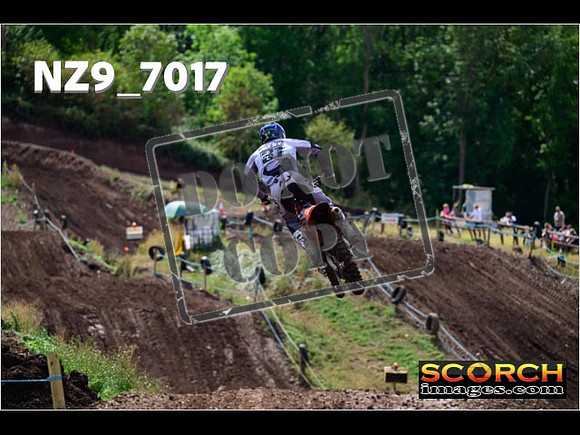 Experts-233