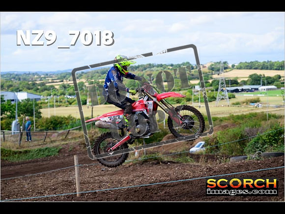 Experts-234