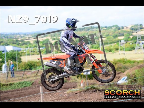 Experts-235