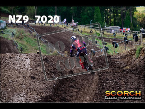 Experts-236