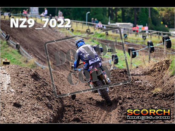 Experts-238