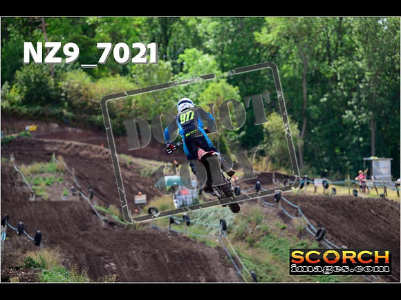 Experts-237
