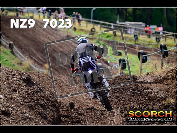 Experts-239