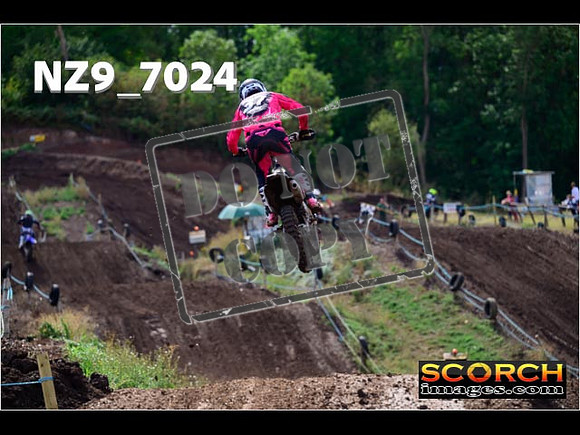 Experts-240