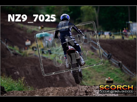 Experts-241