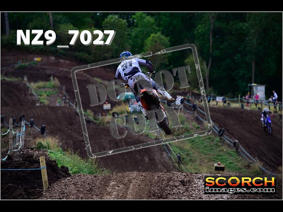 Experts-243