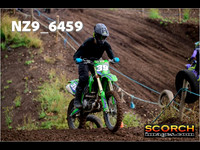 IntersGreen-015