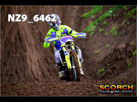 IntersGreen-018