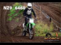 IntersGreen-016