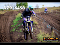IntersGreen-014