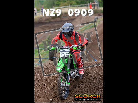 IntersGreen-033